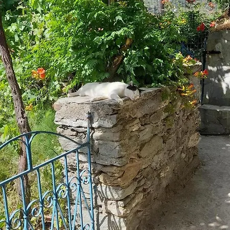 Casa Di Patouria , Stenies Andros